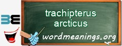 WordMeaning blackboard for trachipterus arcticus